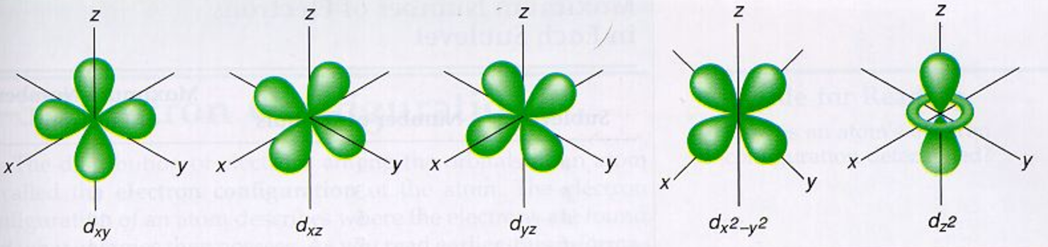 shapes-of-atomic-orbital-chemistry-class-11-structure-of-atom