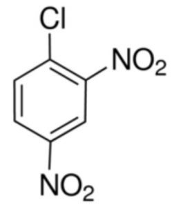 1-chloro-2,4-dinitrobenzene