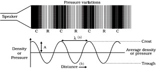 characterstic of longitudinal wave