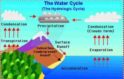 short essay on water cycle