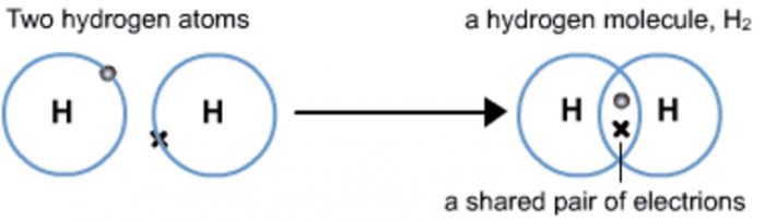 Examples of Covalent Molecules - Carbon and its Compounds, Class 10