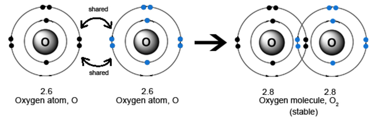 Examples of Covalent Molecules - Carbon and its compounds, Class 10