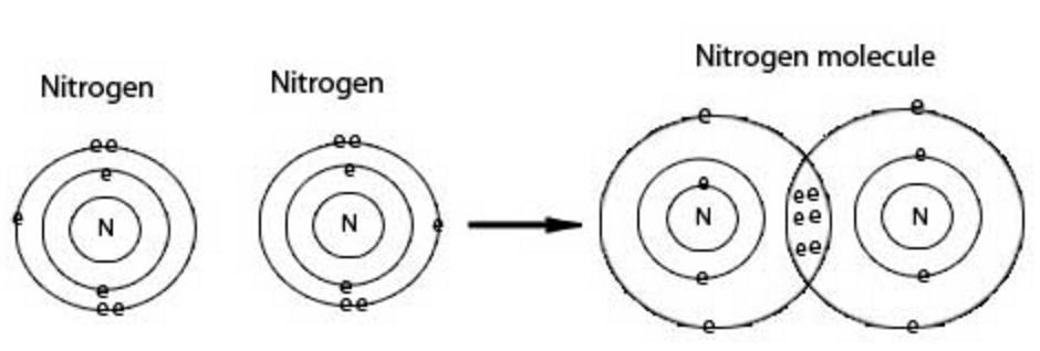 examples-of-covalent-molecules-carbon-and-its-compounds-class-10