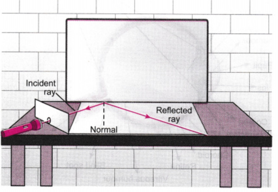 light chapter notes class 8 ncert