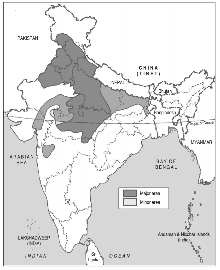 Chapter 4 Agriculture - Class 10, Geography, NCERT Solutions