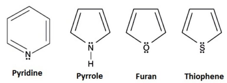 Classification Of Organic Compounds - Chemistry, Class 11, Organic ...