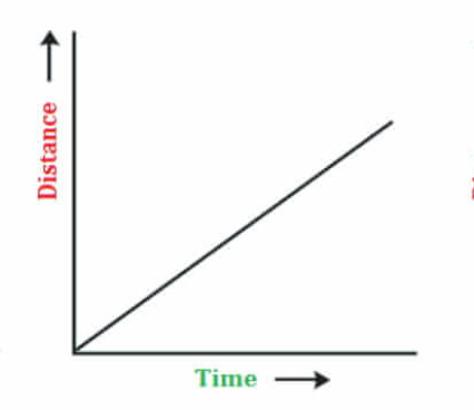 Chapter 13 Motion and Time - Science