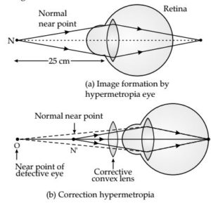 Chapter 11 The Human Eye and the Colourful World - Class 10, NCERT ...