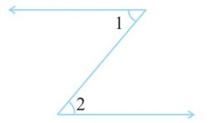 Class 7 Maths Chapter 5 Lines and Angles Exercise 5.1