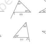 Class 7 Maths Chapter 6 Triangle and its Properties Exercise 6.2