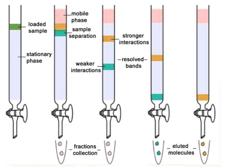 Purification of Organic Compounds Chemistry, Class 11, Organic
