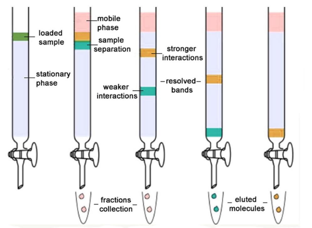 Purification of Organic Compounds - Chemistry, Class 11, Organic ...