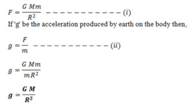 what is mean by free fall in physics class 9