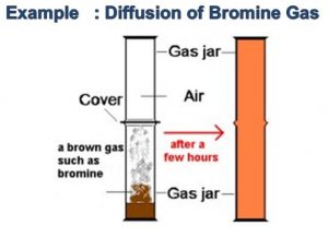 Diffusion of bromine gas