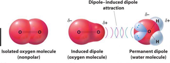 Dipole induced dipole interactions