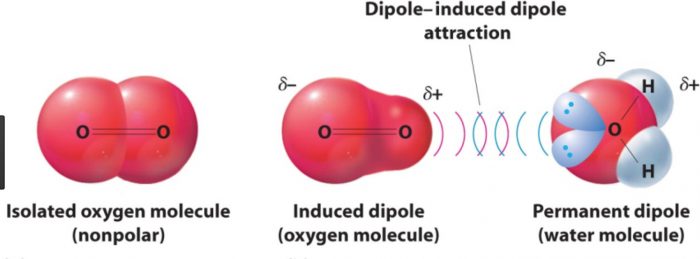 hcl-intermolecular-forces-type-strong-or-weak-techiescientist