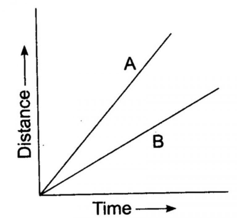 Graphical Representation of Motion - Class 7, Motion and Time, Science