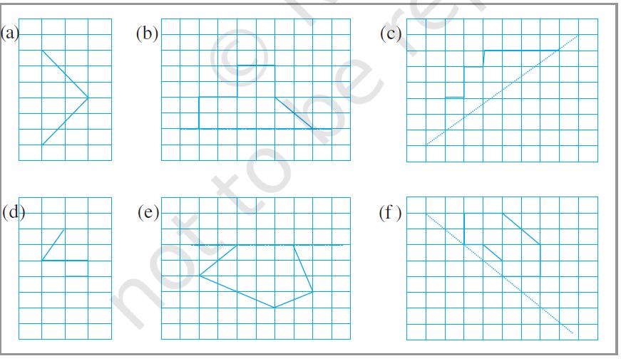 class 6 maths lesson 12 symmetry