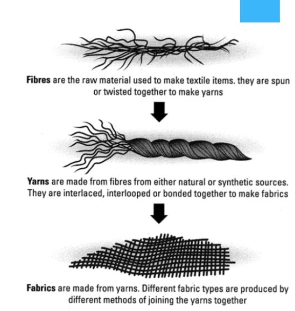 Fibres | Class 6, Fibre To Fabric