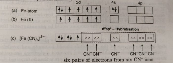 Valence Bond Theory For Bonding In Coordination Compounds Chemistry Class 12 Coordination Compounds