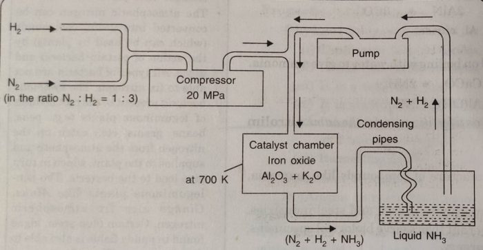 Haber's process for the manufacture of ammonia