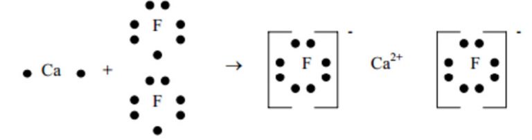 ionic-bond-chemical-bonding-and-molecular-structure-chemistry-class-11