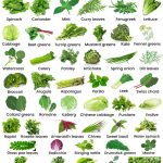 Green Vegetable Name