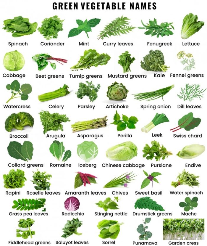 Green Vegetable Names in English - English