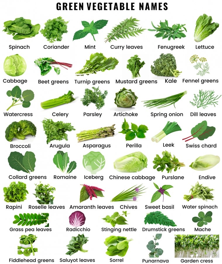 Green Vegetable Names In English English