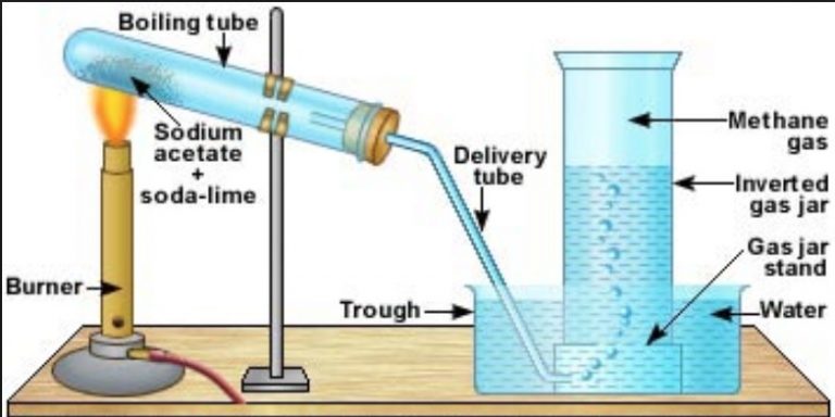 Alkanes Chemistry Class 11 Hydrocarbons alkanes-chemistry-class-11-hydrocarbons