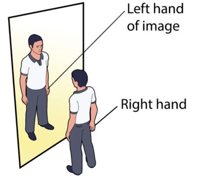 Reflections Light Shadows and Reflection