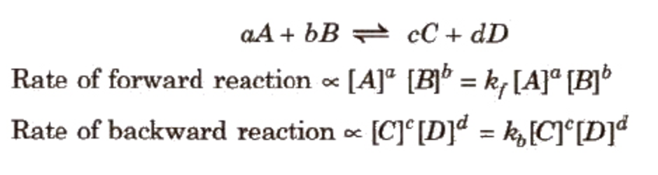 law-of-chemical-equilibrium-chemistry-class-11-equilibrium