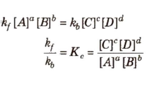 law-of-chemical-equilibrium-chemistry-class-11-equilibrium