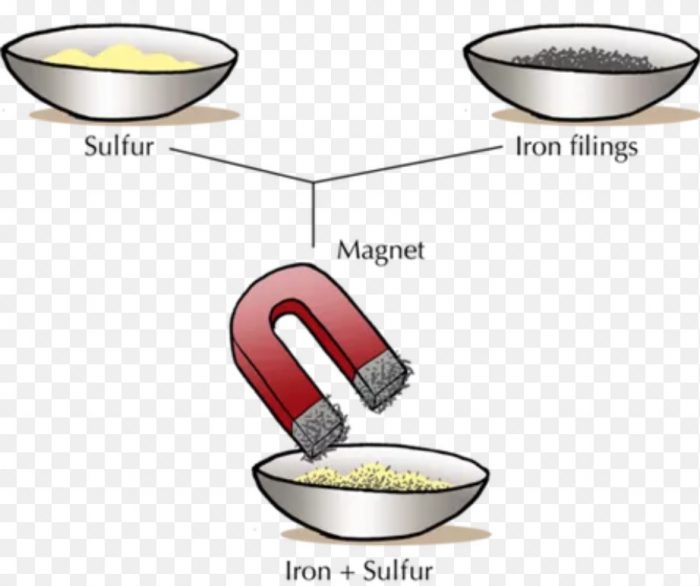 Sieving Magnetic Separation Class 6 Separation Of Substances 4934