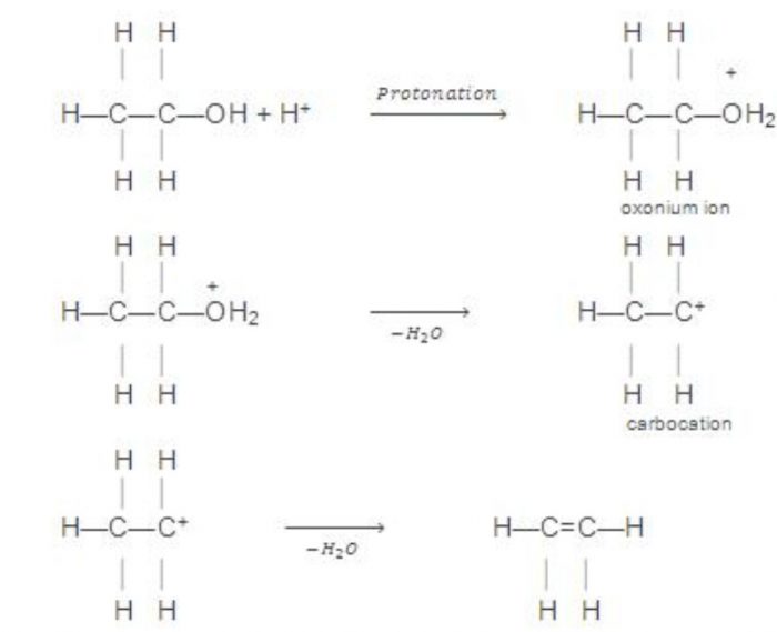 Mechanism of acidic dehydration of alcohol