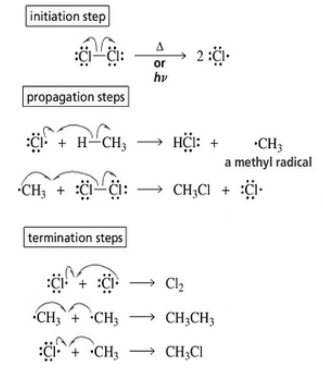 Mechanism of halogenation