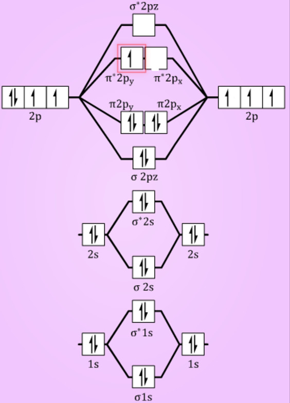 Molecular-orbital-energy-level-for-O2