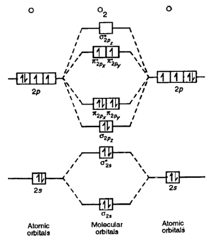 Energy Level Diagram For Molecular Orbitals Chemical Bonding And Molecular Structure 