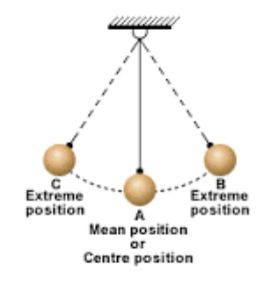 Positive meaning. Oscillation of a Pendulum in a graph which Type of Energy.