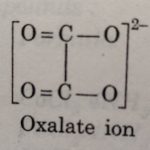 Oxalate ion