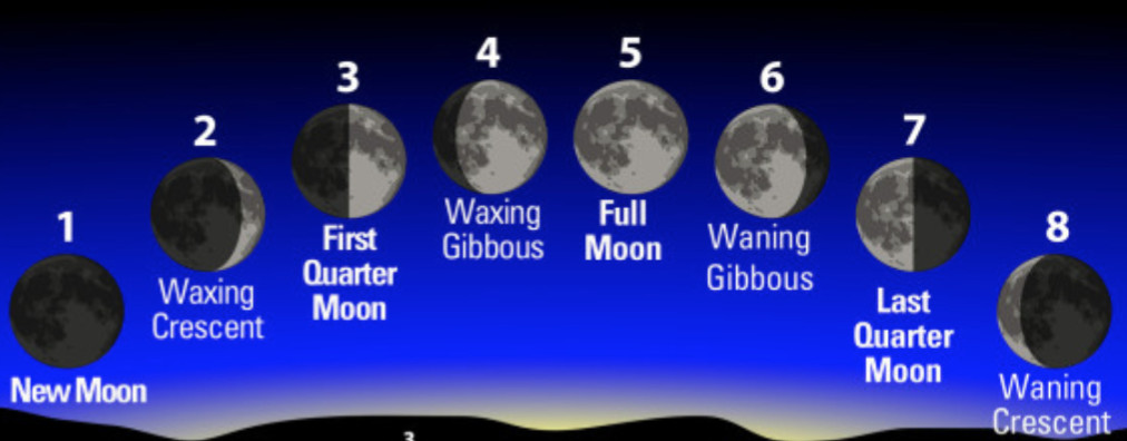 Satellites and Artificial Satellite - Class 8, Stars and the Solar System