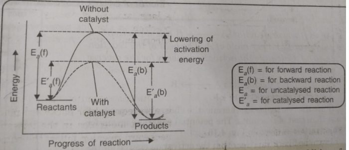 progress of reaction