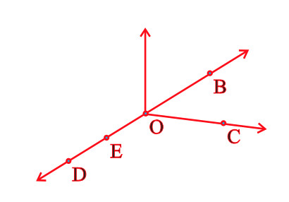 Five Line Segments Pictures