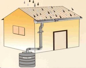 Rain water harvesting