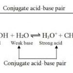 Reaction between acetic acid and water