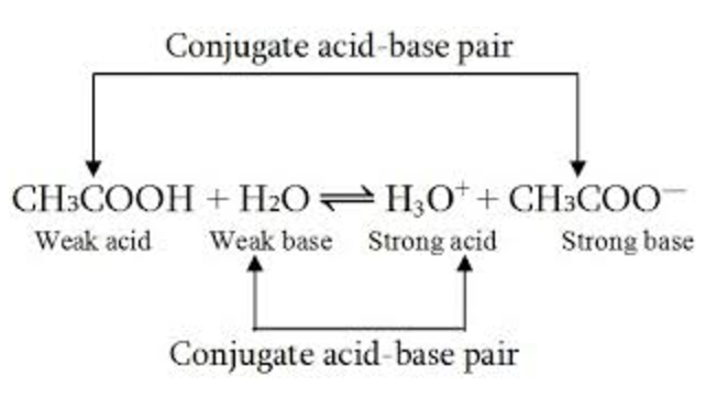 Concepts of Acids and Bases | Chemistry, Class 11, Ionic Equilibrium