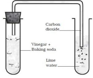 Reaction of carbon dioxide and lime water