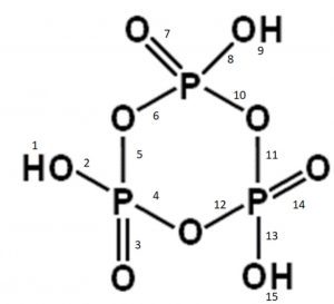 Structure of metaphosphoric acid