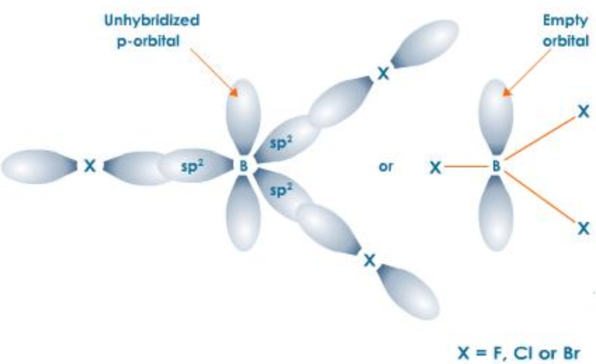 Structure of Boron trihalides