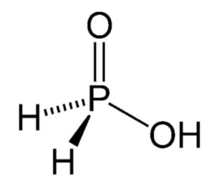Structure of Hypophosphorous acid